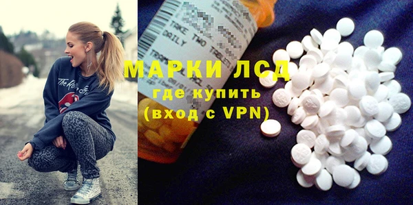 гидра Беслан