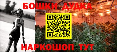 прущие крисы Сланцы