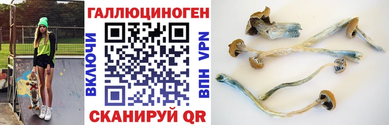блэк спрут маркетплейс  сайты даркнета телеграм  Псилоцибиновые грибы MAGIC MUSHROOMS  Балашов 
