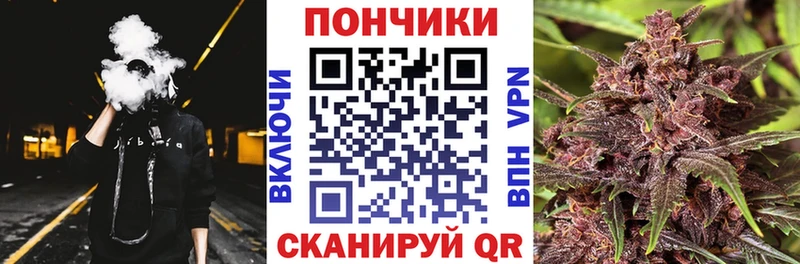 как найти наркотики  OMG tor  Бошки Шишки White Widow  Балашов 